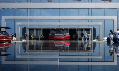 Tesla Q1 2025 Company Update and Earnings Call