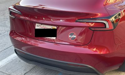 Tesla Sticker Maker Confirms Some Customers Don’t Disapprove of Musk