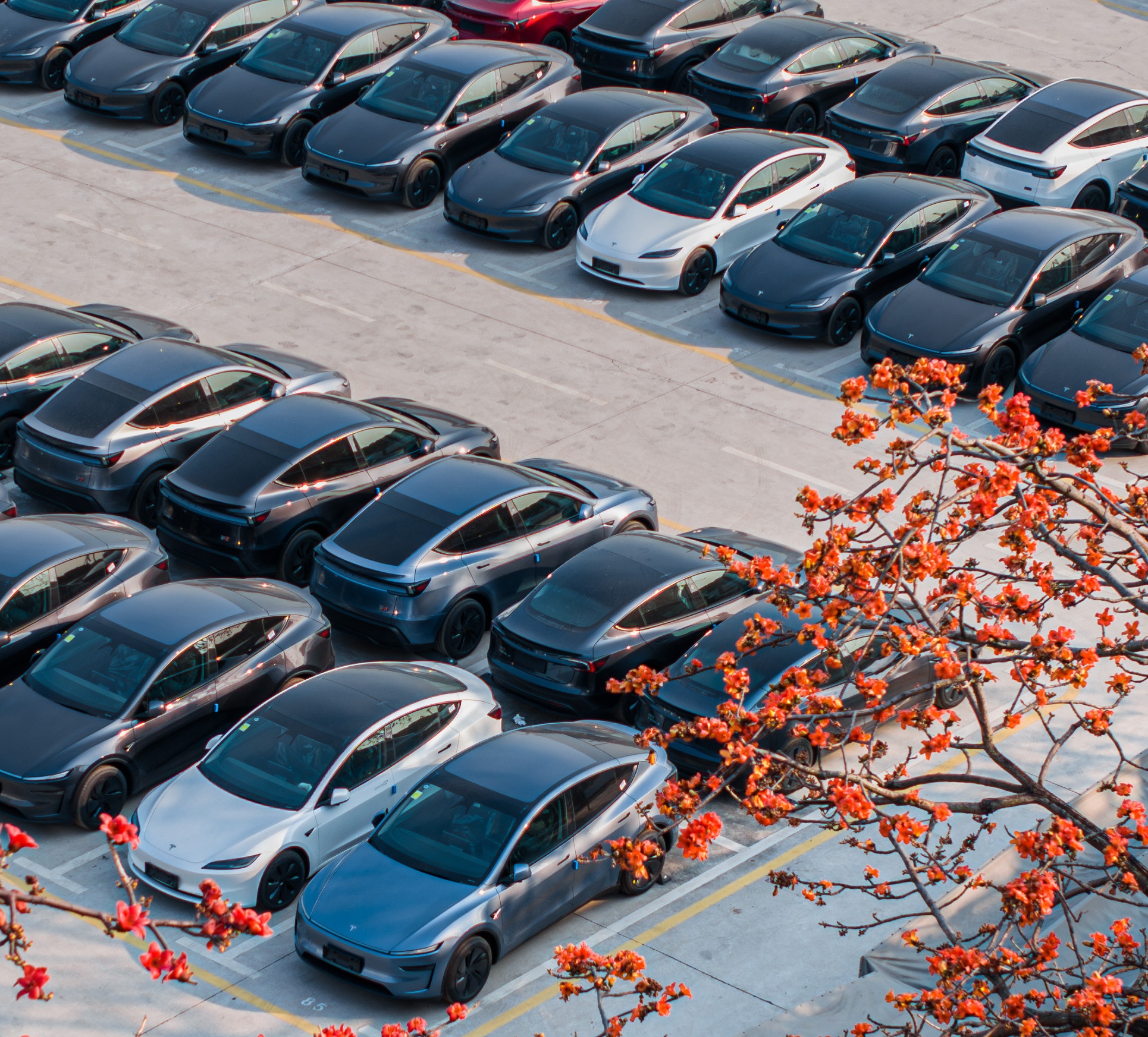 Tesla China Vehicle Registrations Rise 51 Percent in April 2025