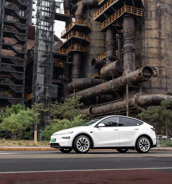 Tesla China Roars Back With Highest Vehicle Registrations This Q2 So Far