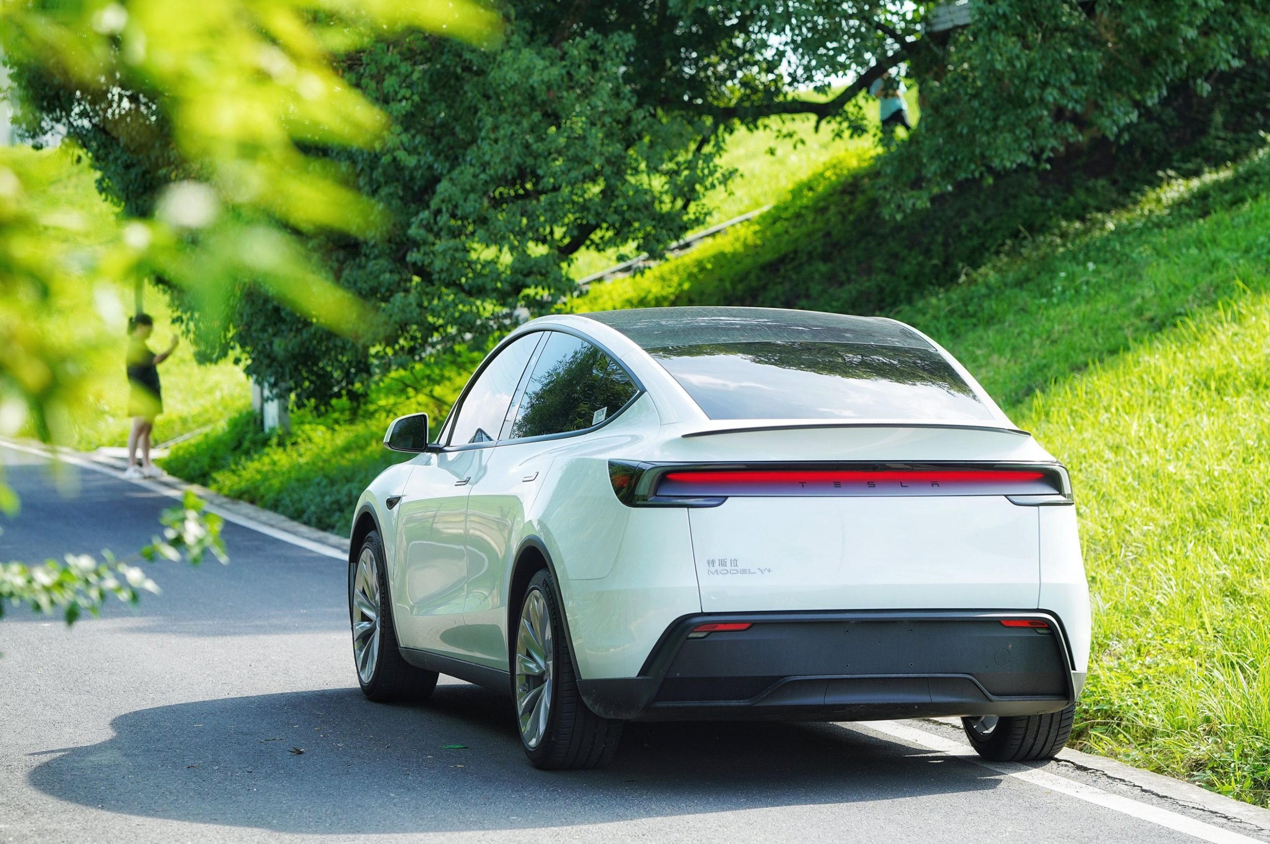 Tesla FSD User in China Shares Insights After Months of Use