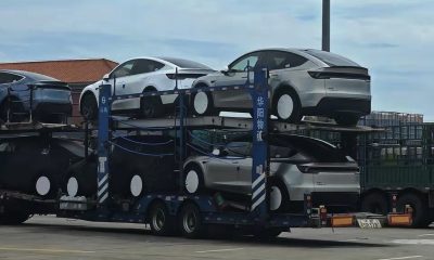 Comprehensive Tesla Model Y L Insights Shared By Early Reviewer