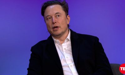 Elon Musk Hits Back at Former Tesla Employee