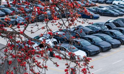 Tesla Enters New Stability Phase