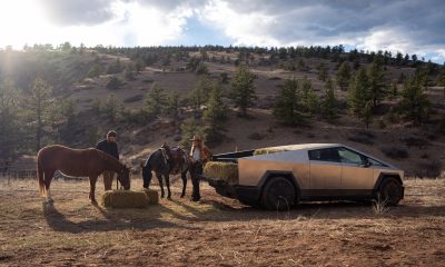 Tesla Announces Delivery Timeline for Cybertruck in New Market