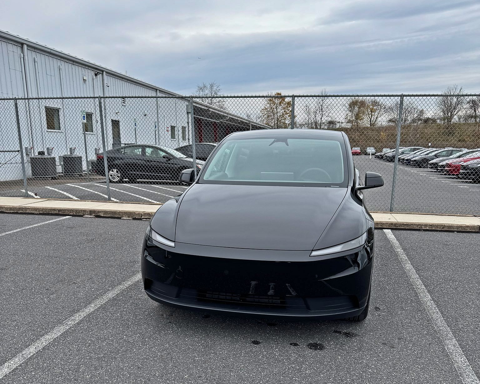Tesla Model Y Standard First Impressions
