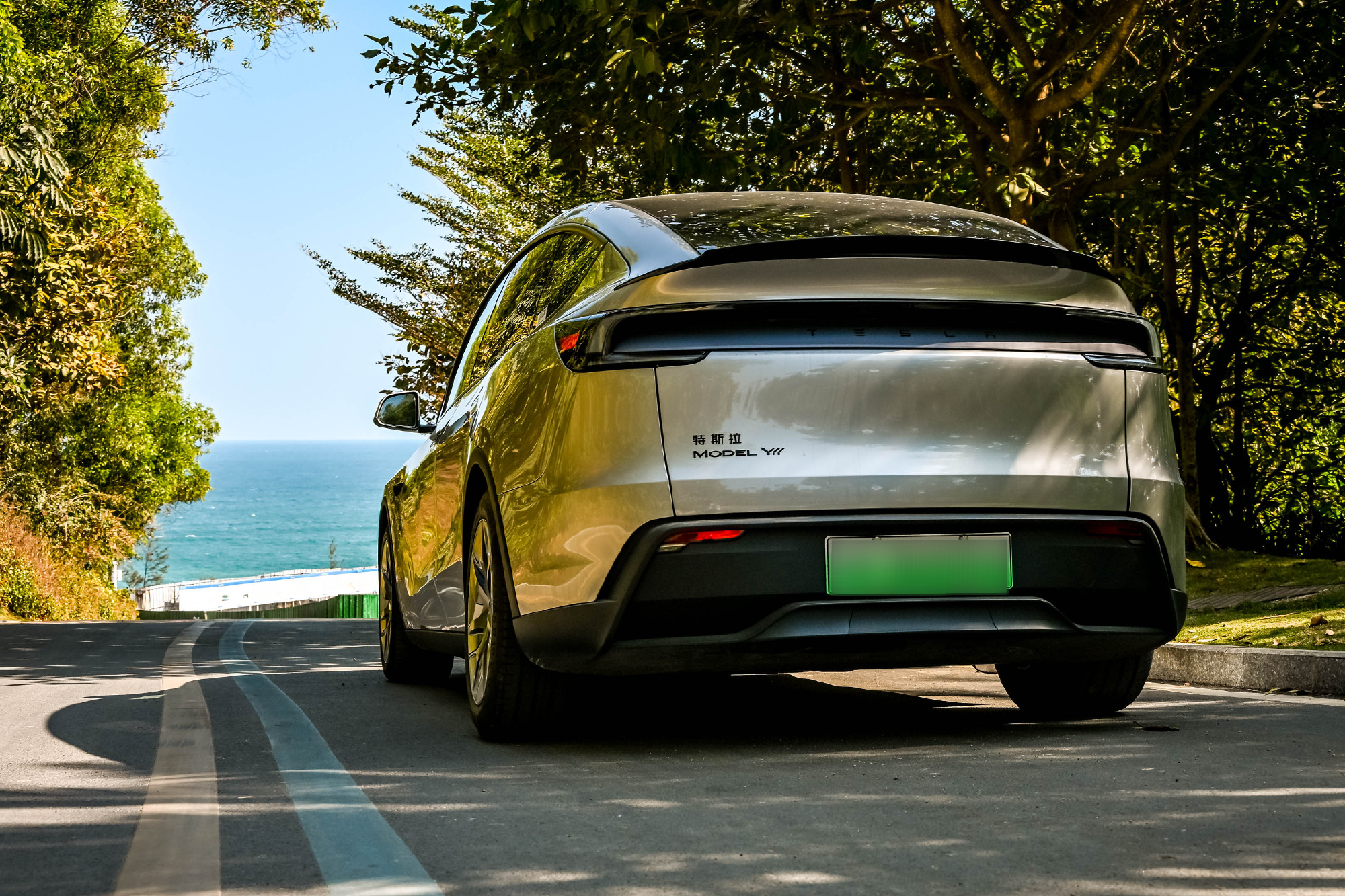 Tesla China January 2025 Sales Rise Year On Year