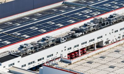 Tesla China Posts Strong February 2026 Wholesale Growth