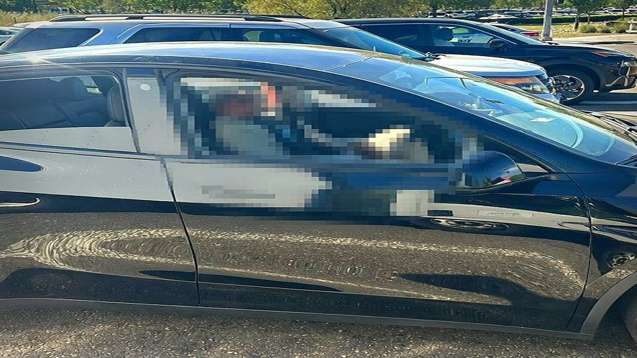 Tesla Drives Drunk Owner While He Naps Police Still Arrest Him