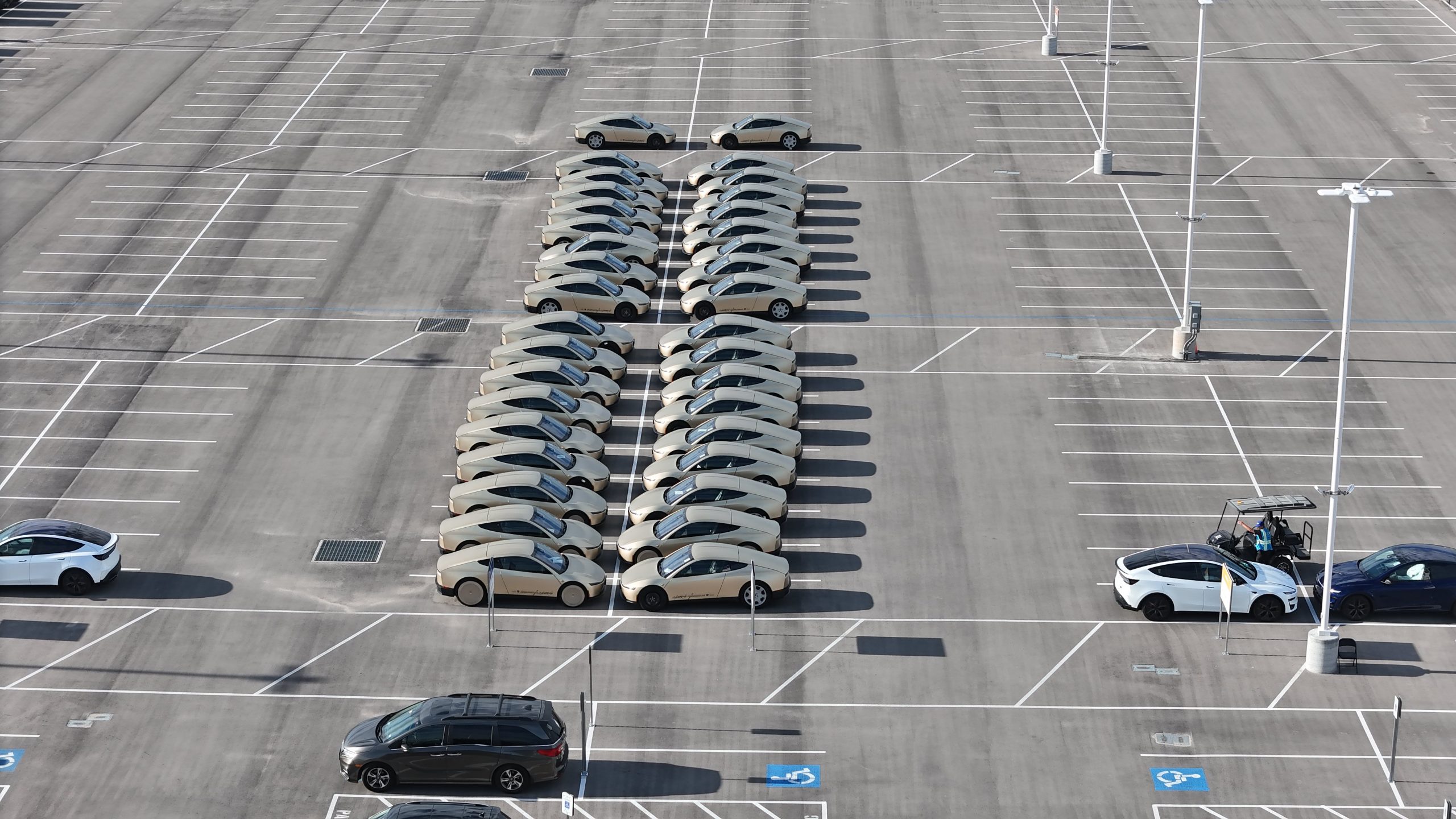 Tesla Cybercab Production Ignites With 60 Units Spotted at Giga Texas