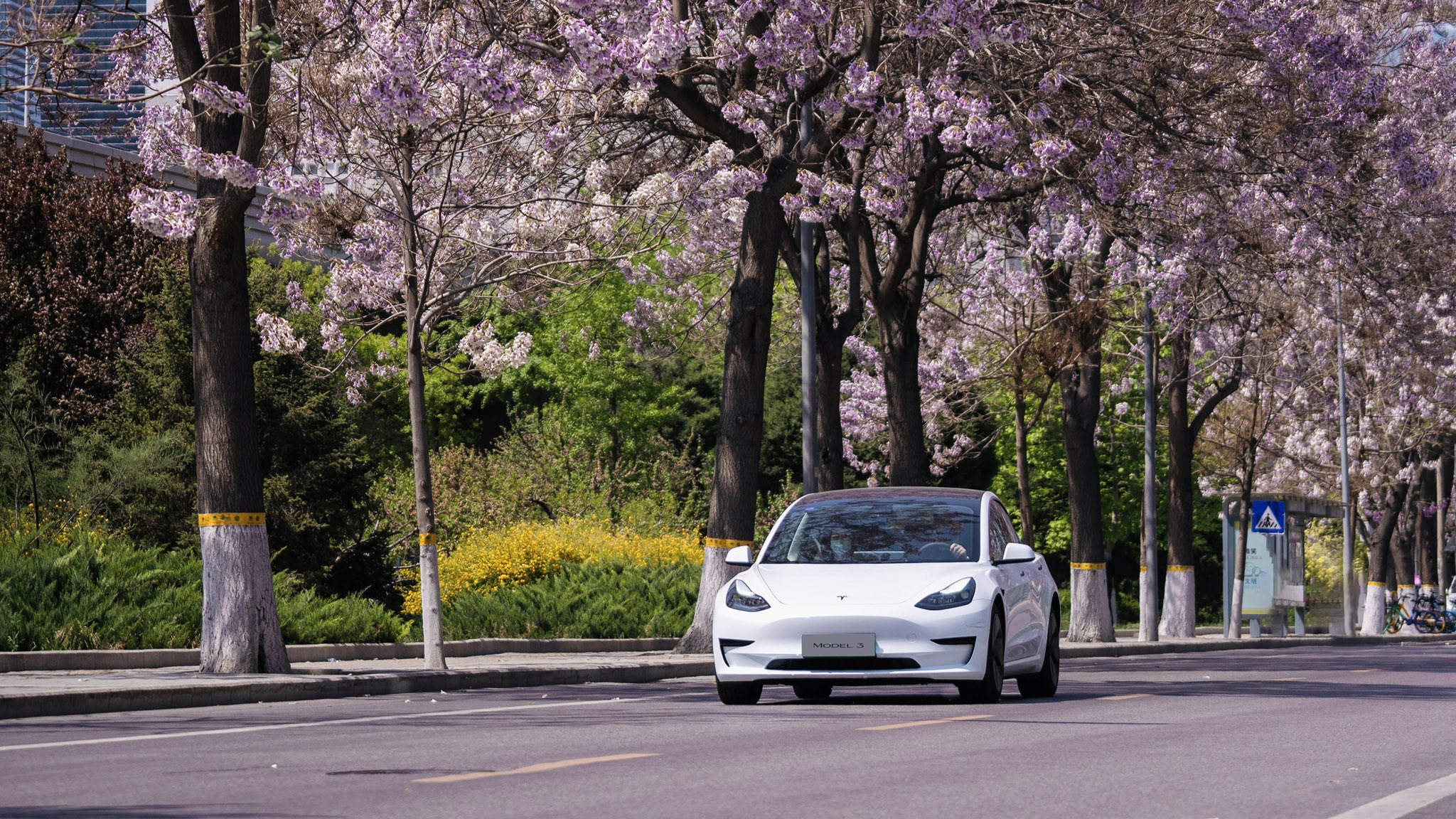 Tesla Hardware 3 Owners Could Be Made Whole This Month
