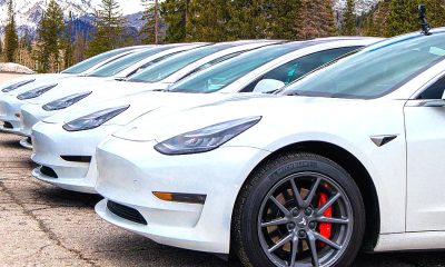 Tesla FSD V14 Lite Released For Older Cars