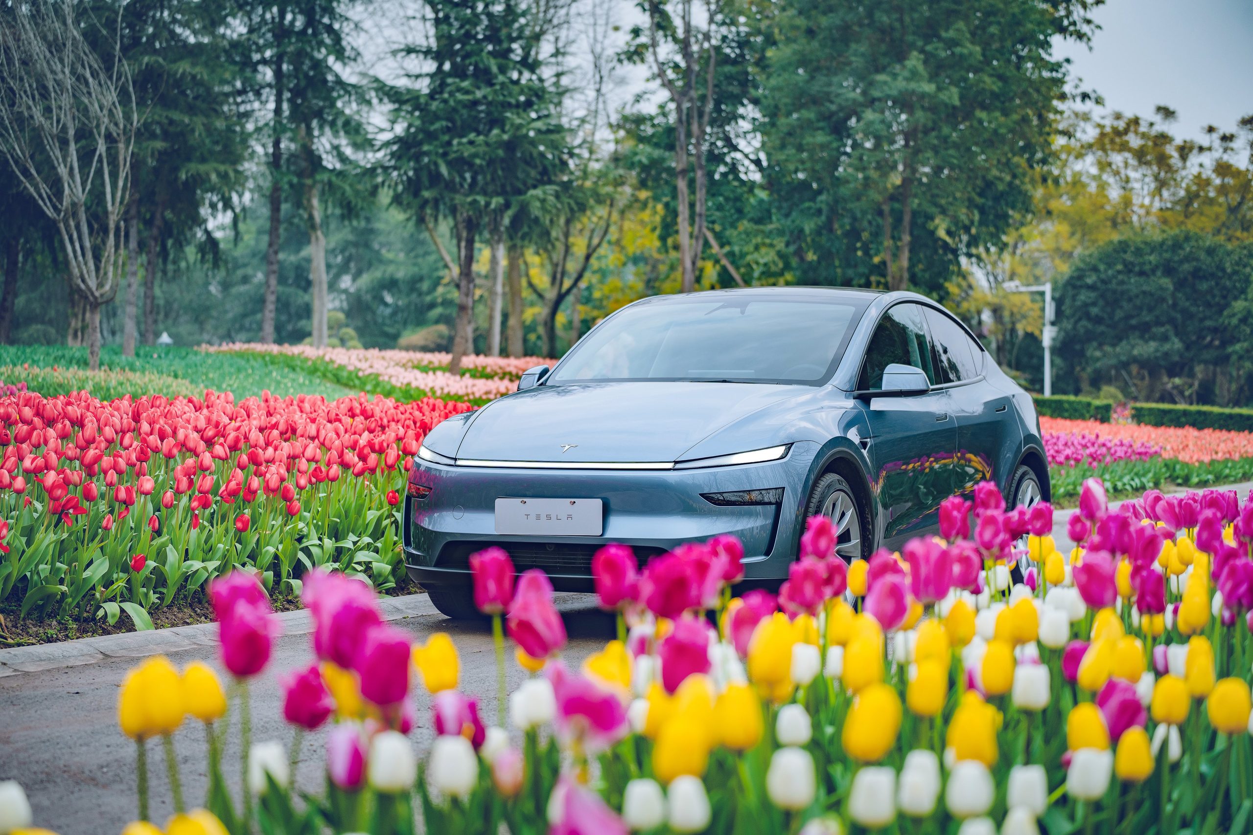 Tesla Looks to Expand into New Asian Market