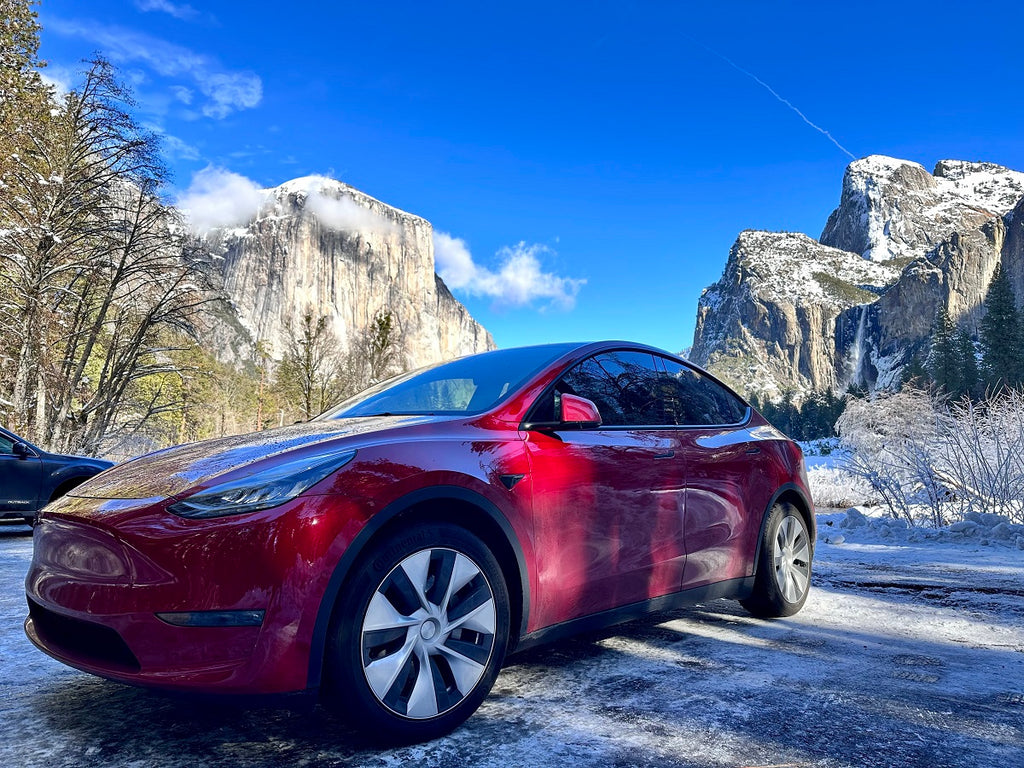 Tesla Smashes Competition on Road to Model Y Becoming Best-Selling SUV