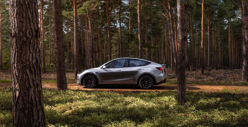 Tesla Model Y Wins Crushing Victory in Norway