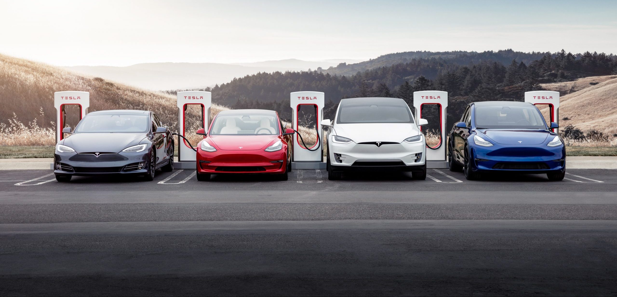 Tesla dominates top four spots in most-driven EVs survey