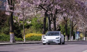 Tesla initiates recall for Model 3 and Model Y over pyrotechnic battery disconnect issue