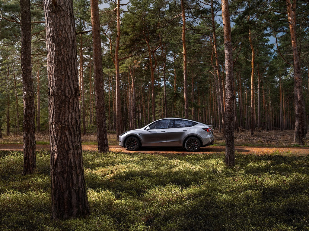 Tesla Model Y Leads in Switzerland as Best-Selling Car