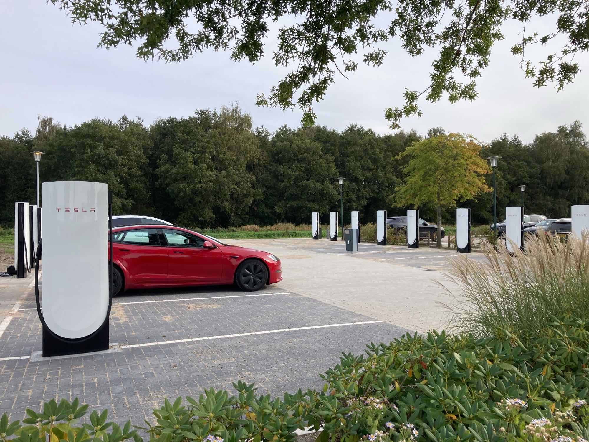 Tesla shares put on Danish pension fund’s exclusion list