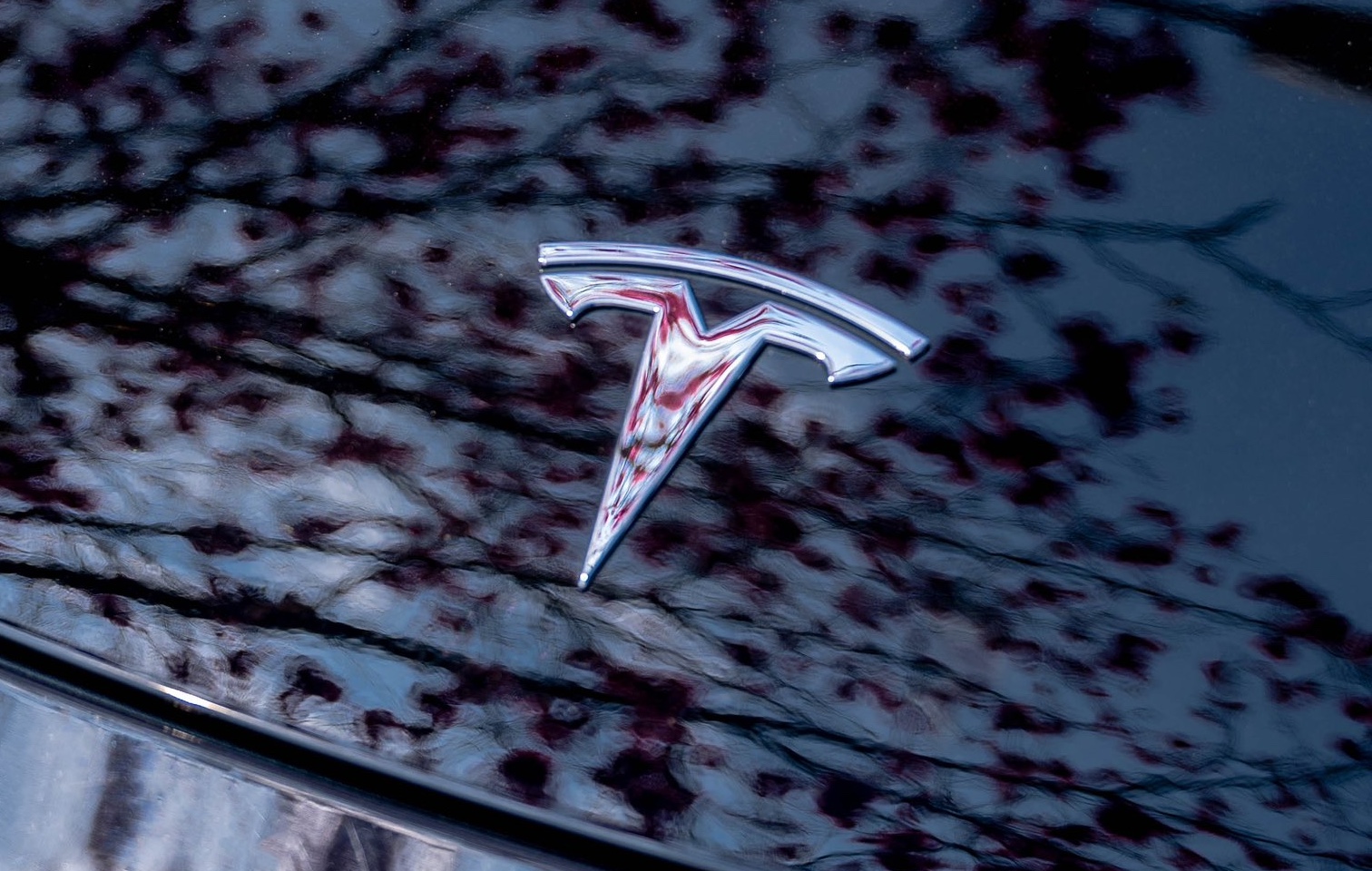Tesla Maintains an Outperform Rating by Wedbush