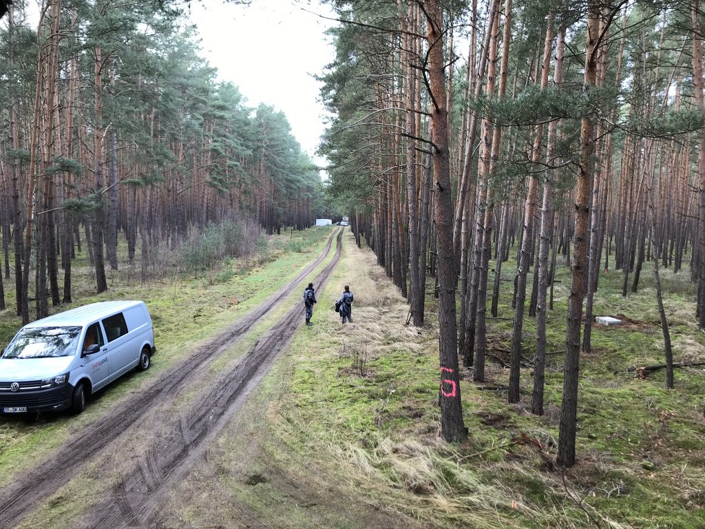 Tesla Giga Berlin Protestors Living in Treehouses Plan to Stay