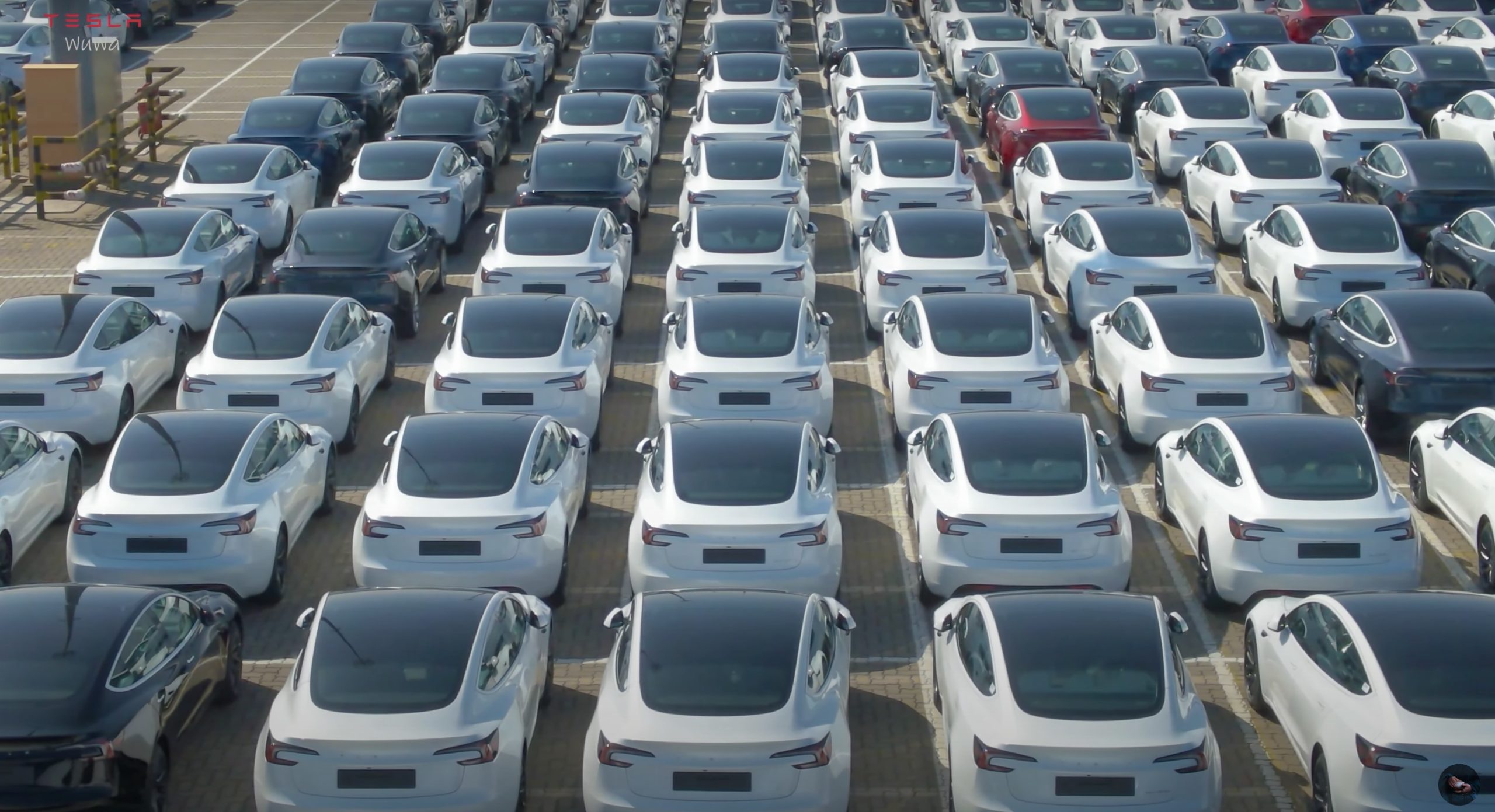 Tesla FSD Takes Another Step Towards China Launch