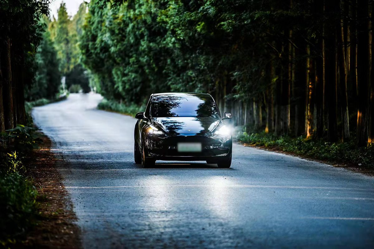 Tesla China Sees 12k New Vehicle Registrations