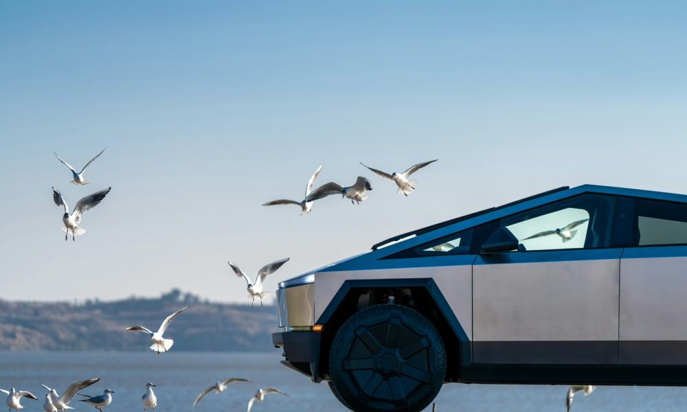 Tesla Cybertruck Appears in China