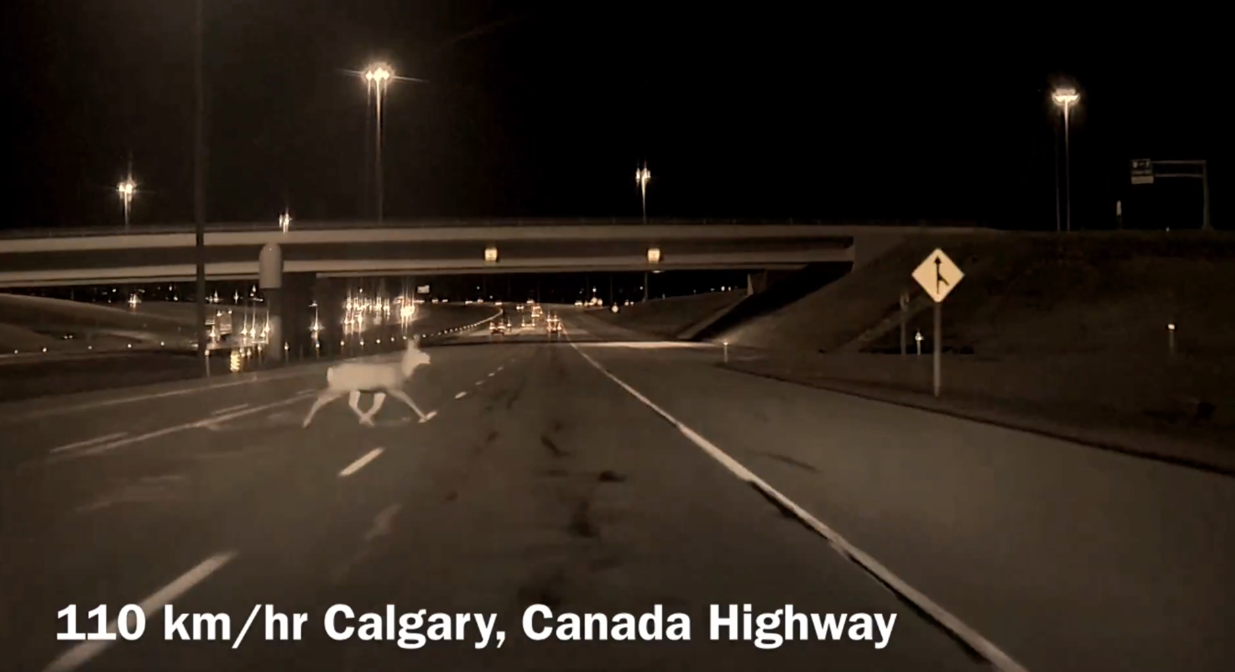 Tesla’s FSD Supervised Prevented This Family From Hitting a Deer