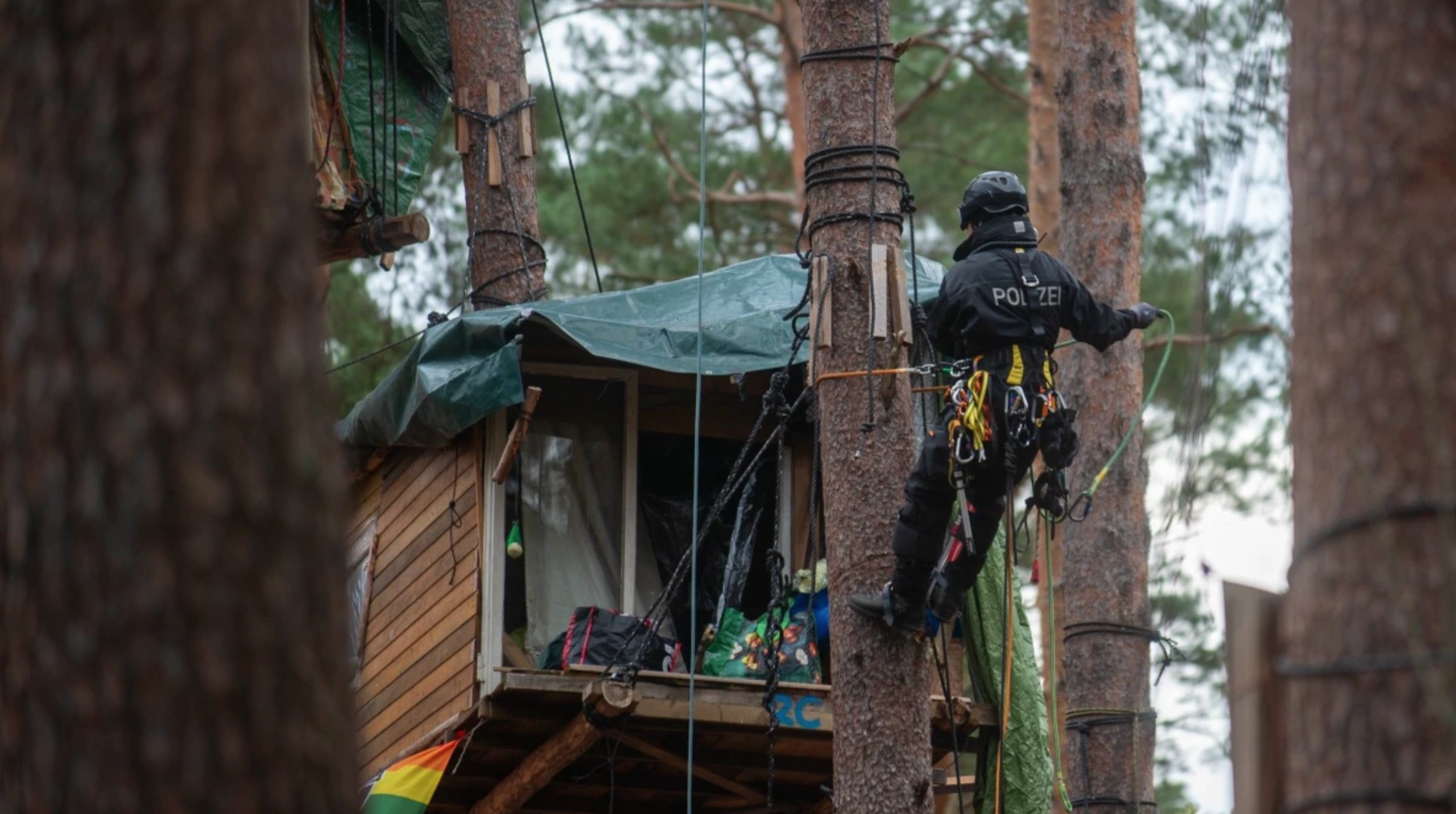 Tesla Giga Berlin Protester Treehouses Taken Down