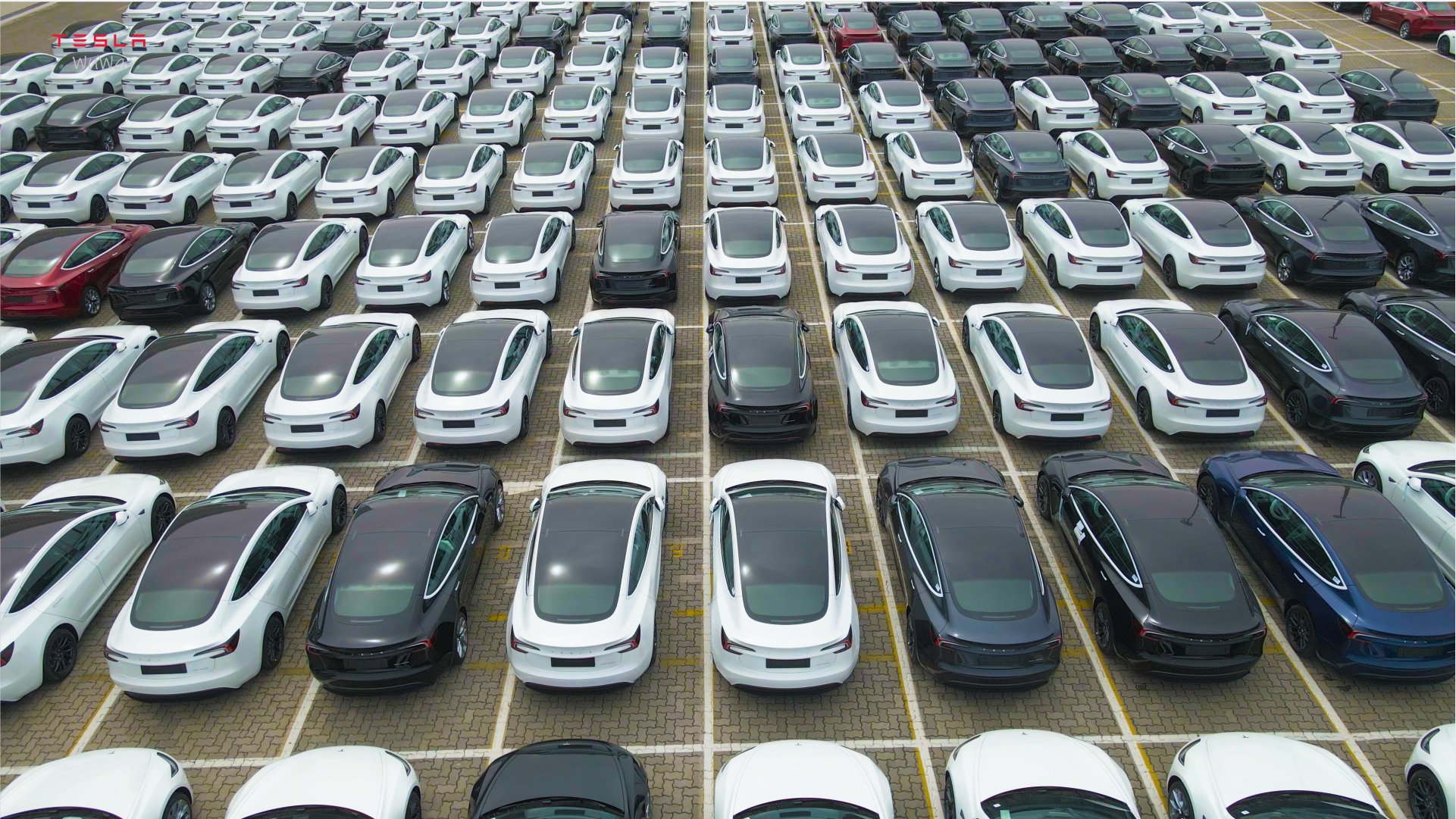 Tesla China Registrations For 2024 Second Last Week