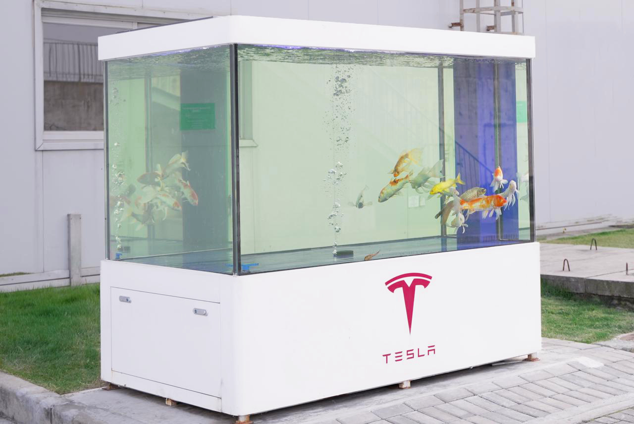 Tesla Giga Shanghai Named Green Supply Company of the Year