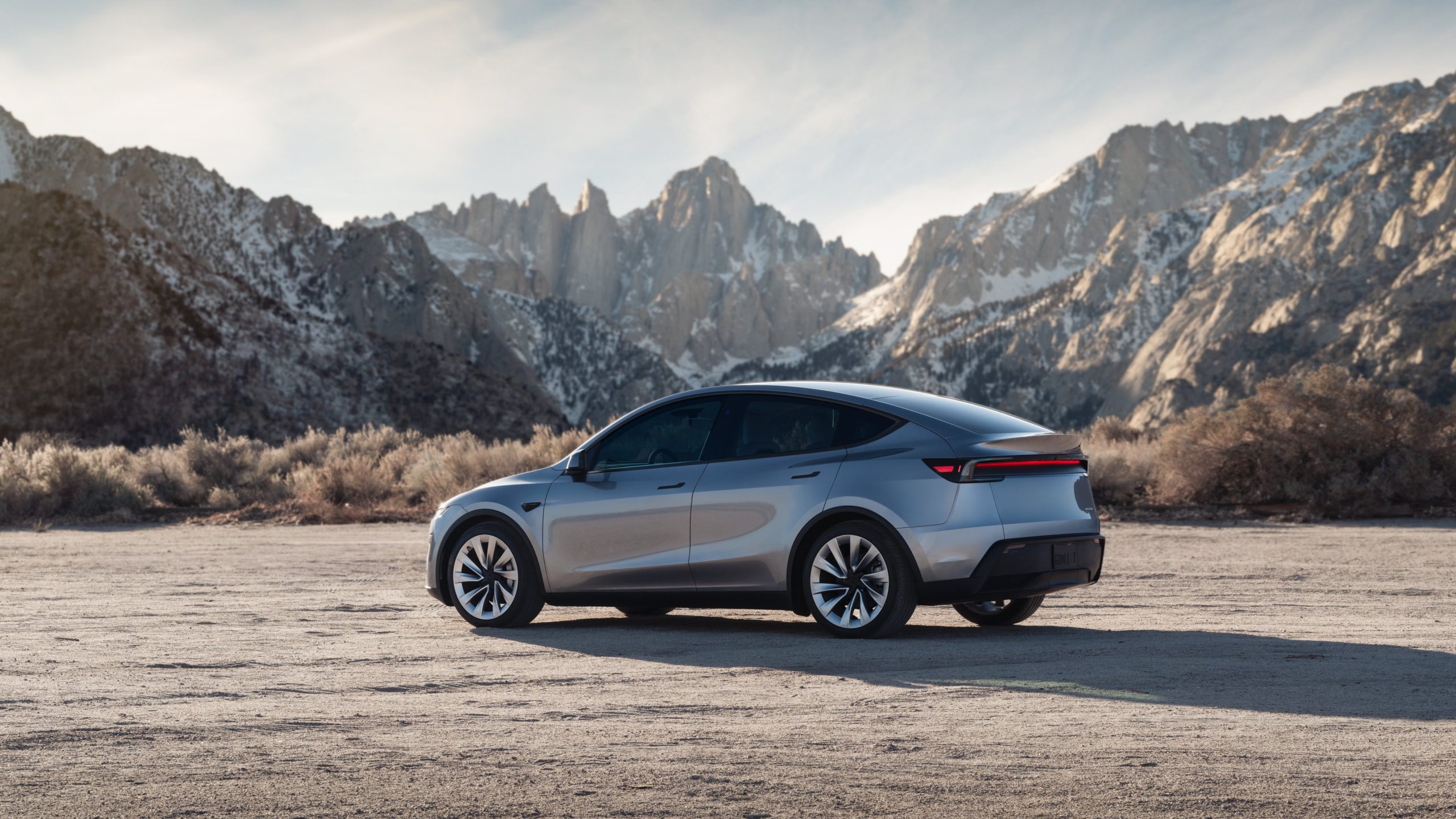 New Tesla Model Y Launches in the USA