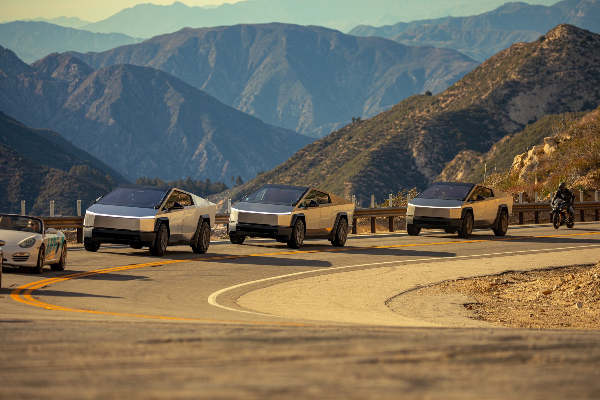 Tesla Bull Wedbush Responds to 2025 Q1 Deliveries
