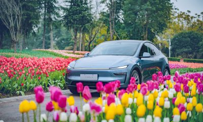 How the New Tesla Model Y Became China’s Best Selling Car in March