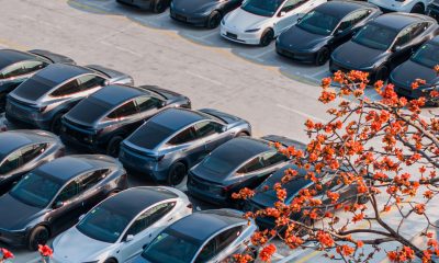 Tesla China Focuses On Exports As 2025 Q2 Begins