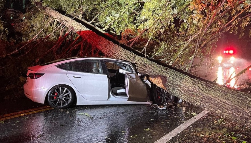 A Tesla Model 3s Windshield and Roof Saved Its Occupants’ Lives After Being Hit by Huge Tree