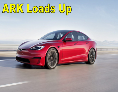 ARK Invest Loads Up on Tesla Shares