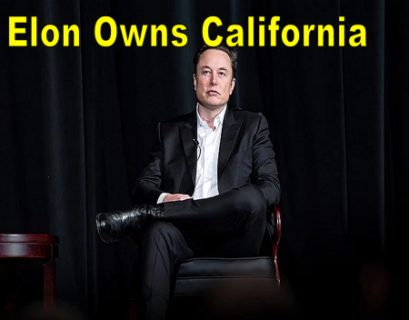 Elon Musk Owns California