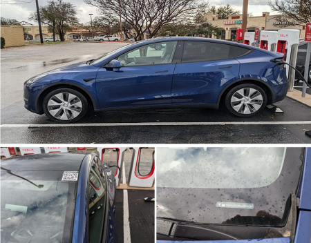Giga Texas Tesla Model Y Spotted At Public Supercharger