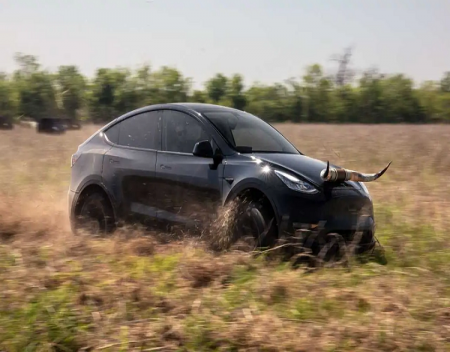 Made-in-Texas Tesla Model Y Starts At 60K