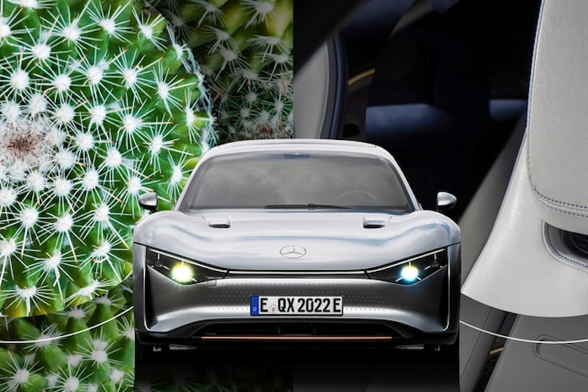 Mercedes Wants To Turn Cactuses Into Leather For Future Luxury Cars