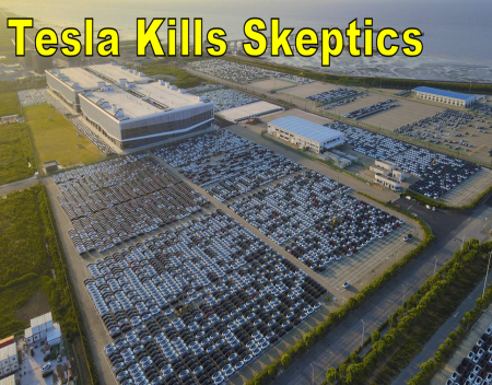 Tesla Kills Skeptics