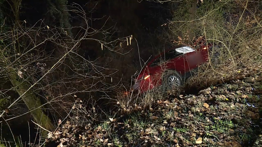 Tesla Model X Protects Occupants Lives After Falling Down 33-ft Slope