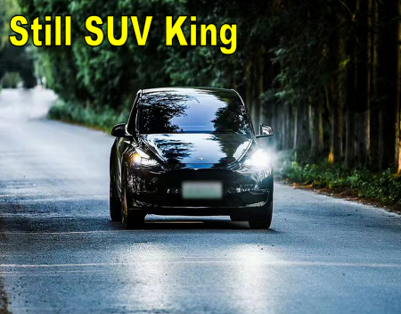 Tesla Model Y Still Chinas Premium SUV King