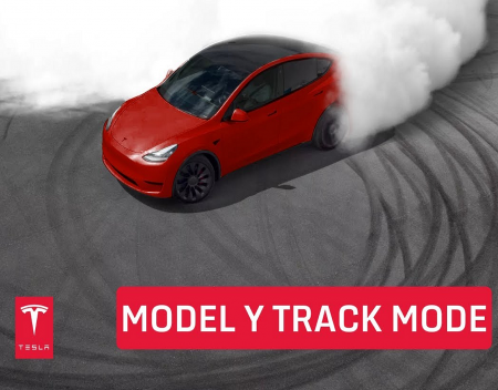 Tesla Model Y Track Mode Takes on Snowy Roads in New Zealand