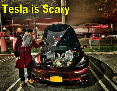 Tesla owners are getting really creative this year for Halloween