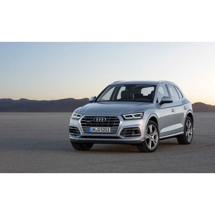 Audi Q5 leak repairs