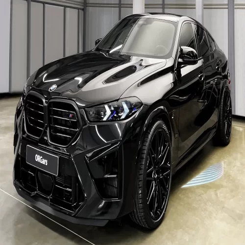 BMW X6 M general repairs