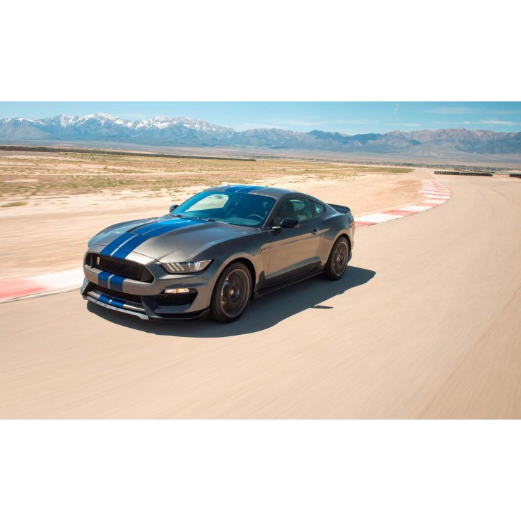 Ford Mustang Shelby GT350 service professionals